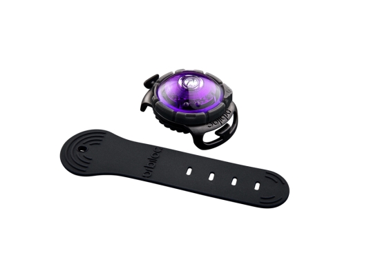 Orbiloc Dog Dual LED-Hundelicht