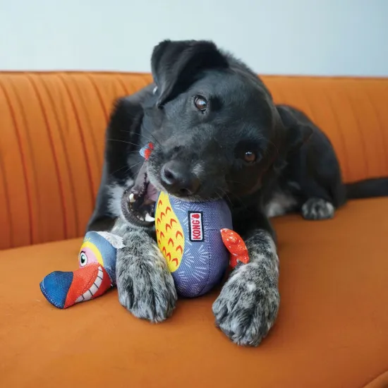 KONG Ballistic Vibez Birds Assorti