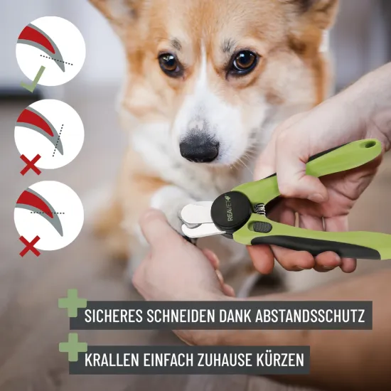 Preview: REAVET Krallenschere für Hunde & Katzen (Gr. S-XL) mit Abstandsschutz & integrierter Krallenfeile im Griff – Safe Cut Krallenknipser