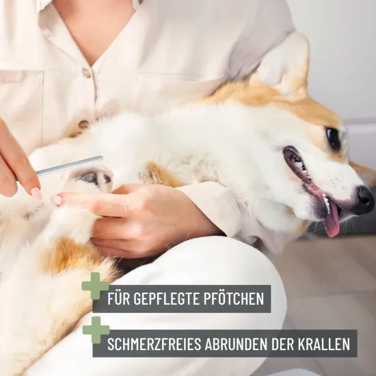 REAVET Krallenschere für Hunde & Katzen (Gr. S-XL) mit Abstandsschutz & integrierter Krallenfeile im Griff – Safe Cut Krallenknipser
