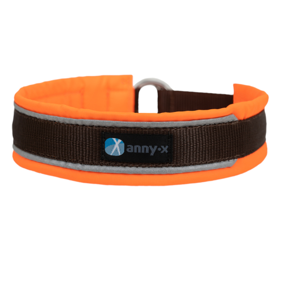 annyx Zugstopphalsband Protect leuchtorange/ braun