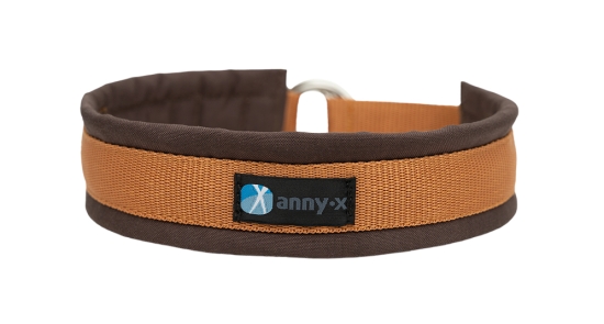 annyx Zugstopphalsband Fun braun/bernstein