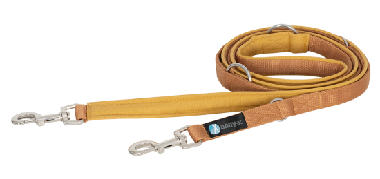 annyx Führleine Bolt Fun Classic Goldglöckchen – 3 Meter, 4-fach verstellbar & gepolstert