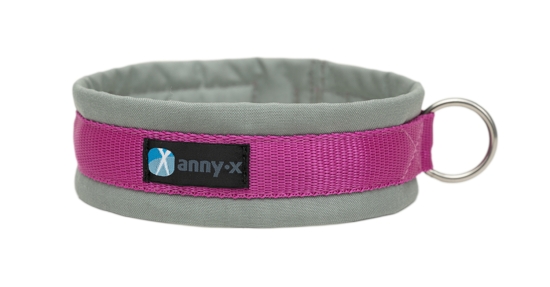 annyx Steckhalsband Fun grau/pink