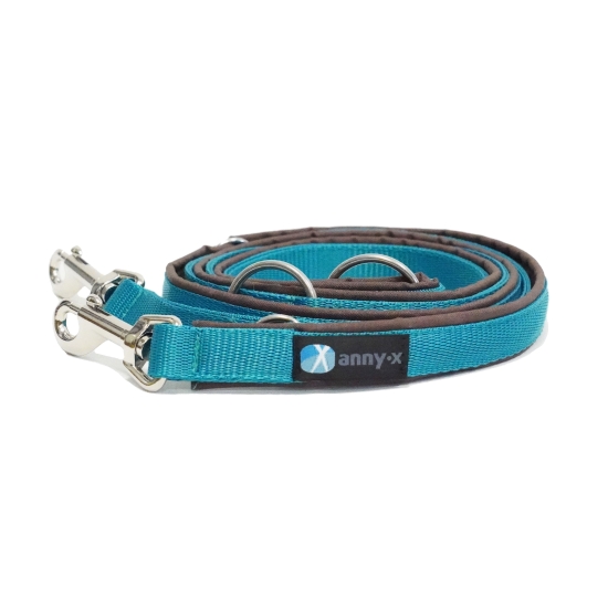 annyx Führleine Classic Bolt Fun braun/petrol