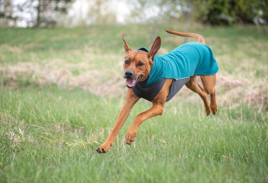 JumppaPomppa Fleece Pullover forest