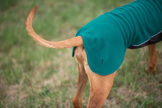 JumppaPomppa Fleece Pullover forest