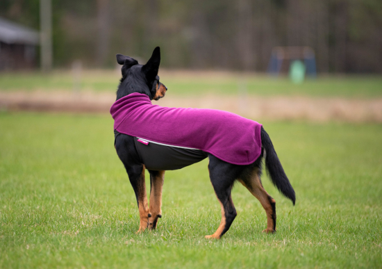 JumppaPomppa Fleece Pullover plum