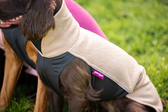 Preview: JumppaPomppa Fleece Hundepullover – Sand
