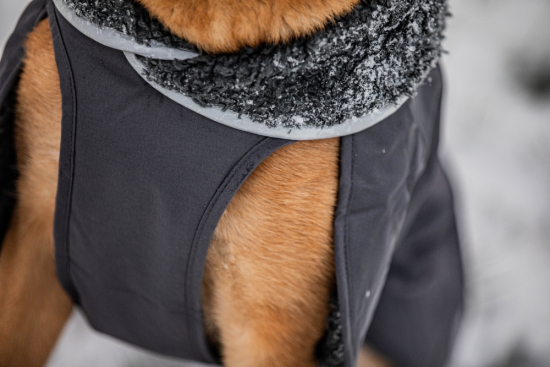 PerusPomppa Hunde Wintermantel Graphite