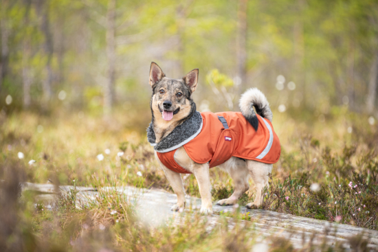 PerusPomppa Hunde Wintermantel Rust