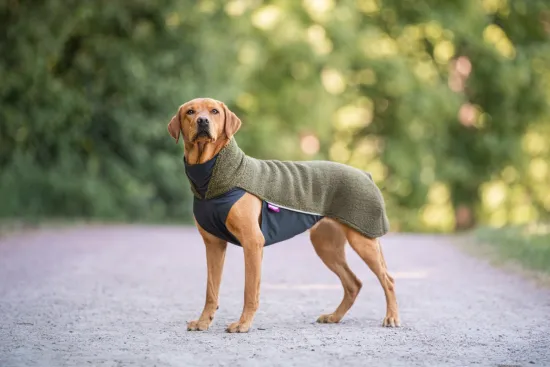 Preview: PolarPomppa Hundepullover Olive – Warme Sherpa-Fleecejacke mit Reißverschluss