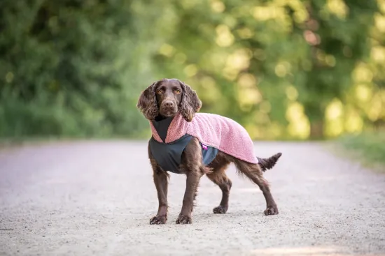 Preview: Pomppa PolarPomppa Hundepullover Mallow (Altrosa) – Warme Fleecejacke mit Reißverschluss