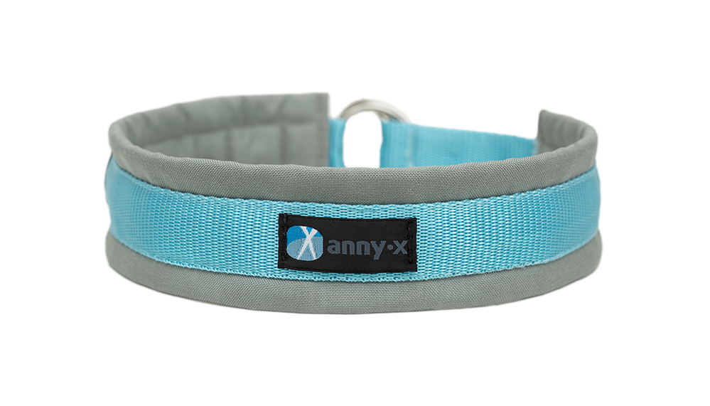 AnnyX Zugstopphalsband Fun grau eisblau