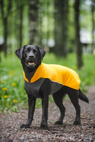 JumppaPomppa Fleece Pullover, curry