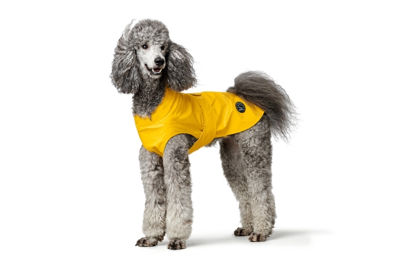 Hunde Regenmantel Milford gelb