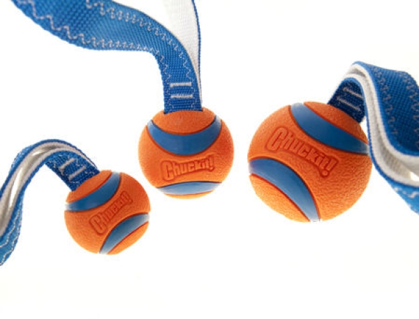Chuckit! Ultra Tug - Hundeball mit Handschlaufe