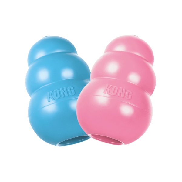 KONG Puppy Welpenspielzeug