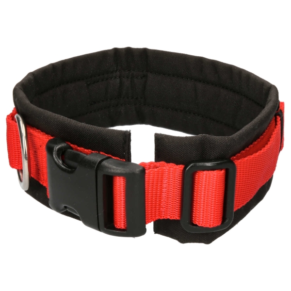annyx Steckhalsband Fun schwarz/rot