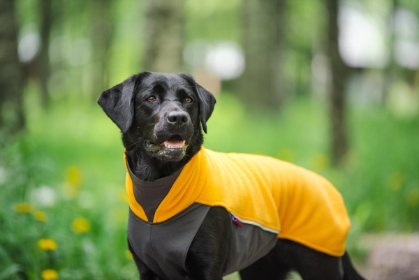 JumppaPomppa Fleece Pullover, curry