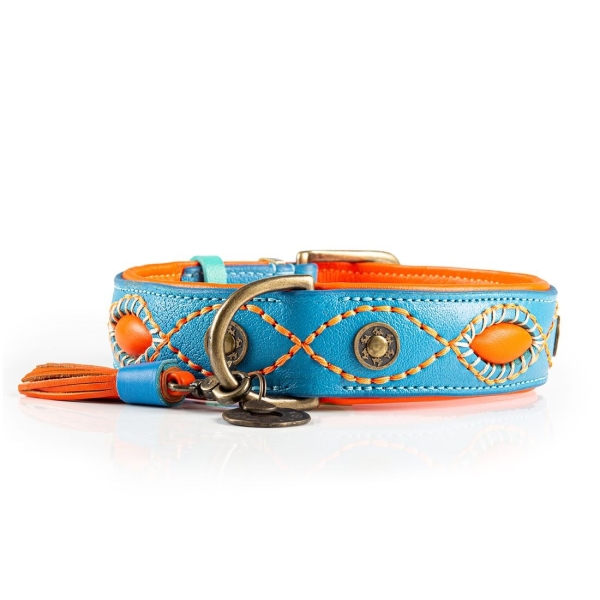Dog with a Mission Halsband Jones