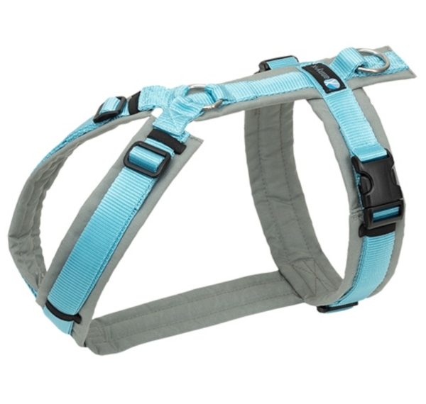 annyx Brustgeschirr Fun grau/eisblau