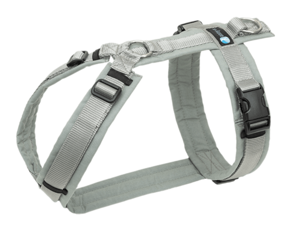 annyx Brustgeschirr Fun grau/silber