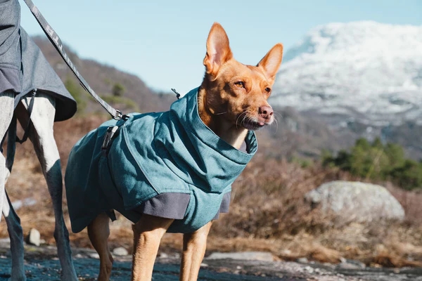HURTTA Expedition Hunde-Wintermantel bilberry blau