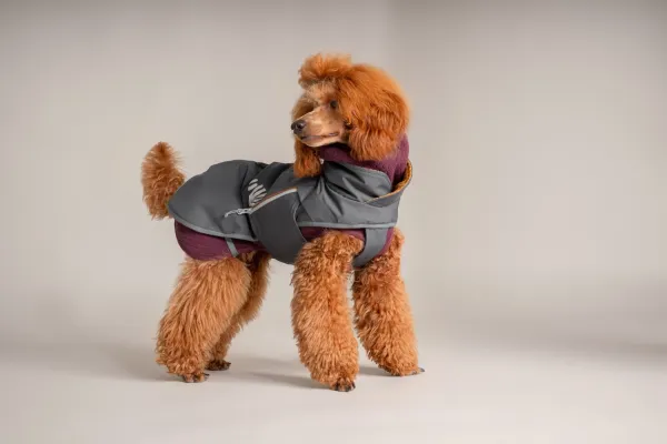 Hurtta Hundejacke Hundemantel Walk All-Season Jacket – Blackberry (Dunkelgrau)