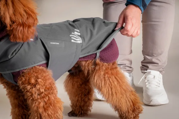 Hurtta Hundejacke Hundemantel Walk All-Season Jacket – Blackberry (Dunkelgrau)