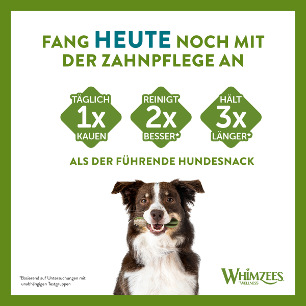 WHIMZEES Toothbrush Zahnpflege-Snack