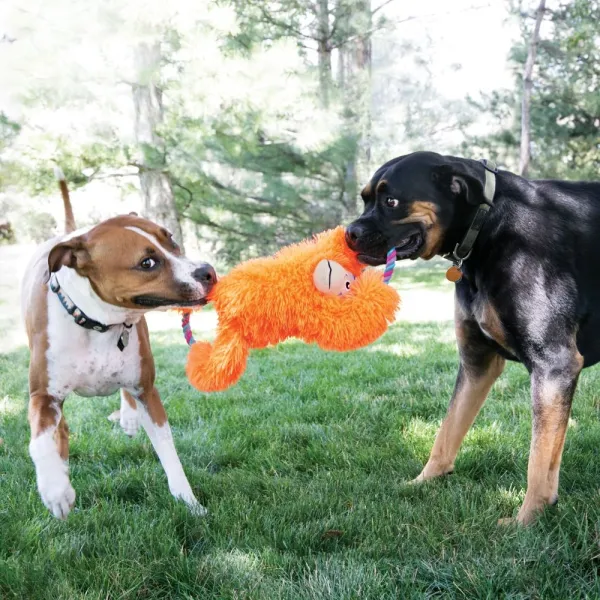KONG® Tuggz™ Faultier XL – Extra großes Hundespielzeug mit Tau & Knisterarmen