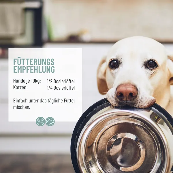 REAVET Denta Vital Pulver für Hunde & Katzen 150g | Zahnstein & Mundgeruch