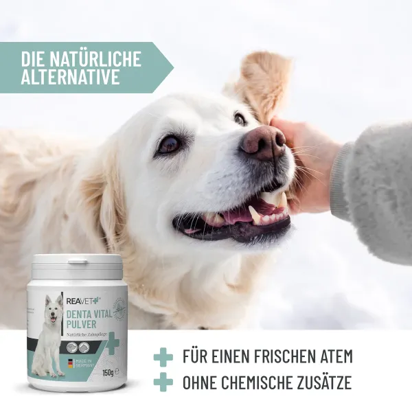 REAVET Denta Vital Pulver für Hunde & Katzen 150g | Zahnstein & Mundgeruch