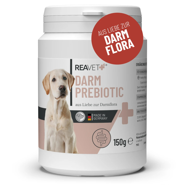 Darm Prebiotic 150g
