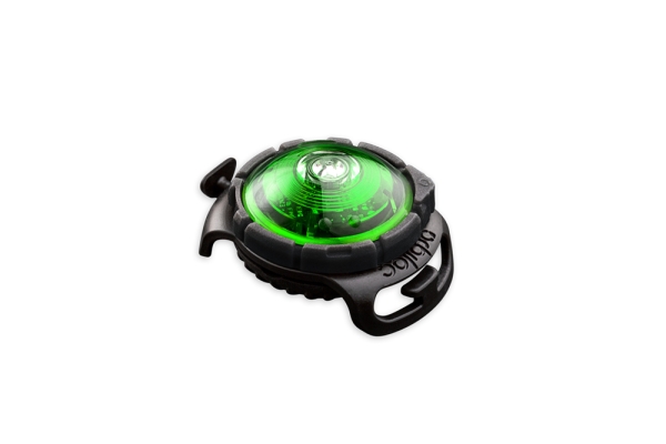 Orbiloc Dog Dual LED-Hundelicht