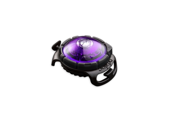 Orbiloc Dog Dual LED-Hundelicht