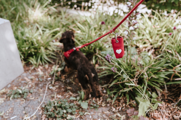 Hunter Kotbeutelspender Love inkl. Beutel