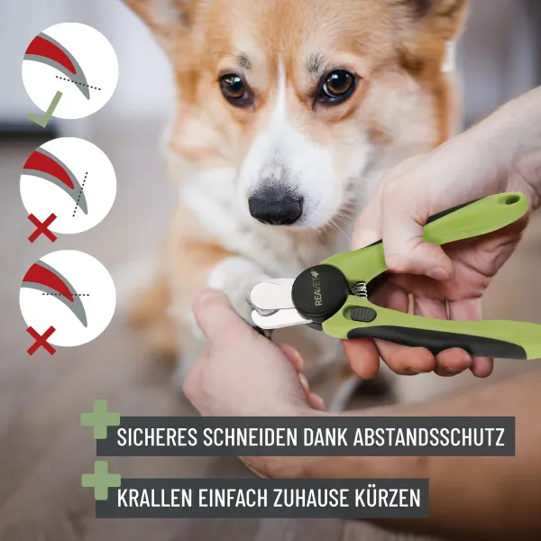 REAVET Krallenschere für Hunde & Katzen (Gr. S-XL) mit Abstandsschutz & integrierter Krallenfeile im Griff – Safe Cut Krallenknipser