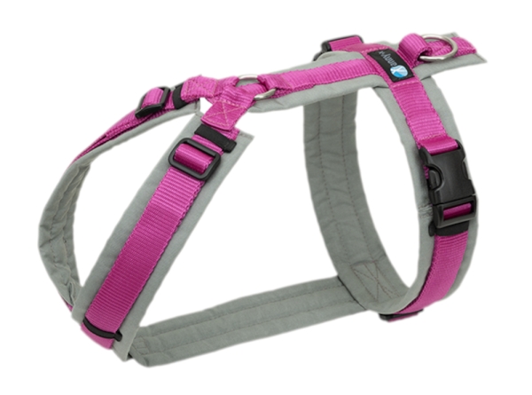 annyx Brustgeschirr Fun grau/pink