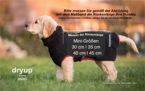 DRYUP Cape Mini Hundebademantel Rosé – Frottee Bademantel für kleine Hunde