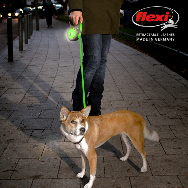 flexi Neon Gurt neongrün