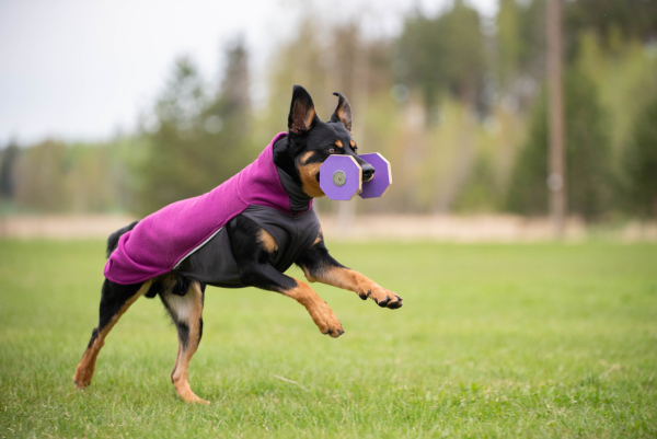 JumppaPomppa Fleece Pullover plum