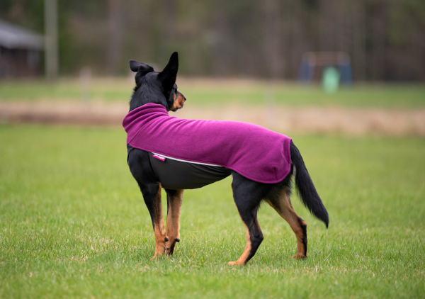JumppaPomppa Fleece Pullover plum