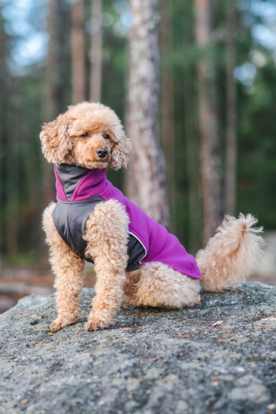 JumppaPomppa Fleece Pullover plum