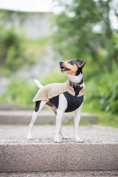 JumppaPomppa Fleece Hundepullover – Sand