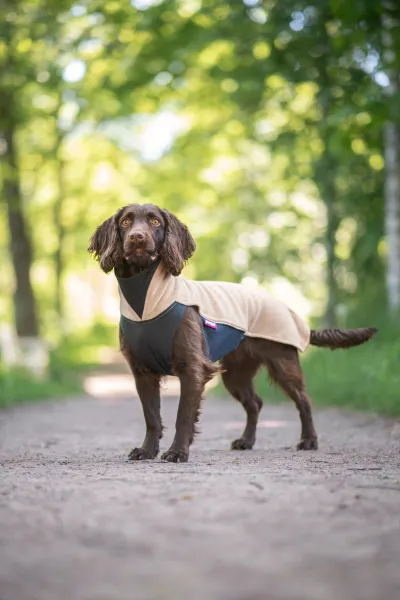 JumppaPomppa Fleece Hundepullover – Sand