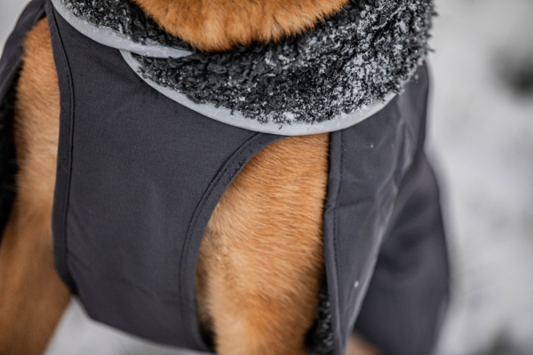 PerusPomppa Hunde Wintermantel Graphite