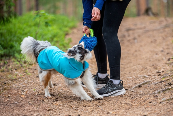 SporttiPomppa Softshell-Hundemantel artic