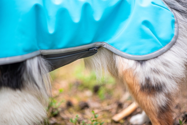 SporttiPomppa Softshell-Hundemantel artic